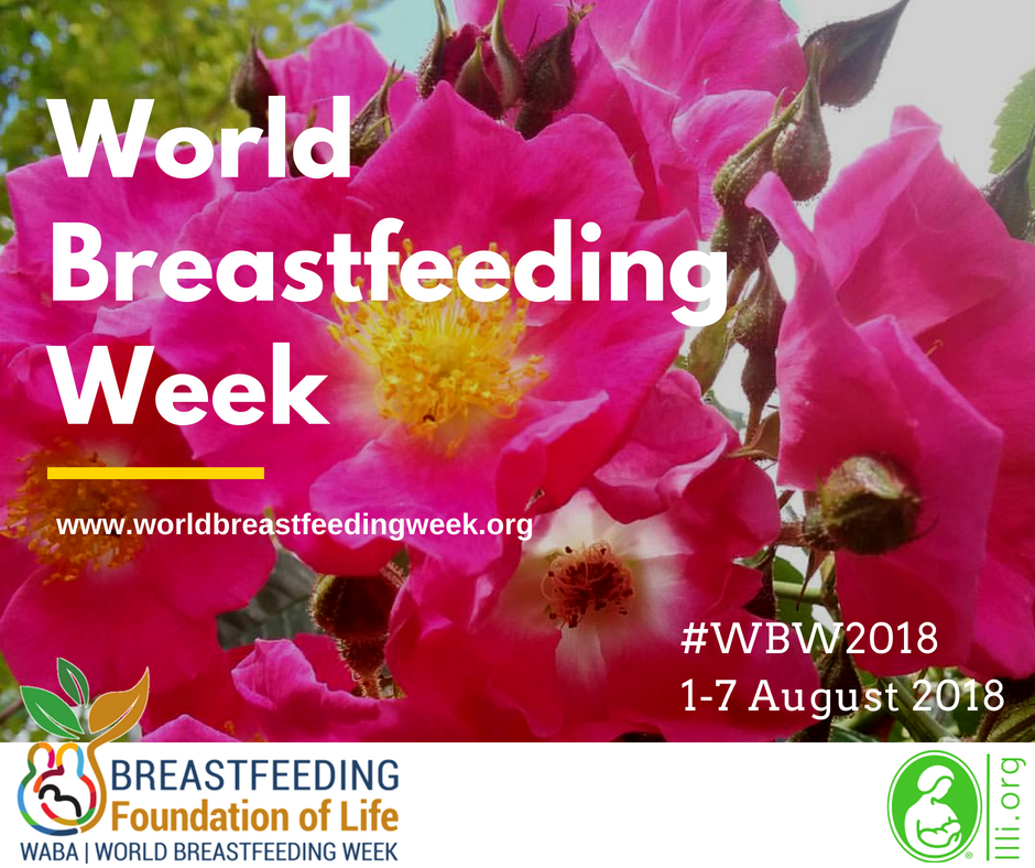 ¡WIC Celebra la Semana Mundial de Lactancia Materna!