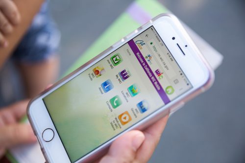 Call 1-844-469-3264 to check your WIC food balance