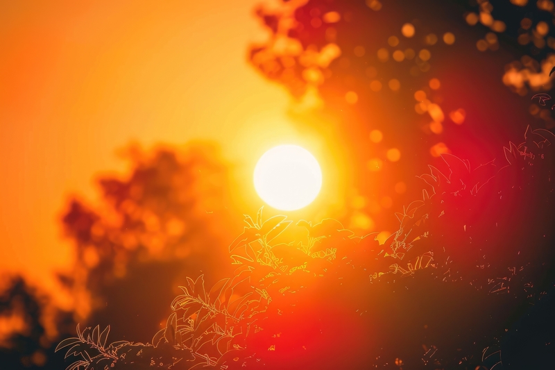 Evite el Calor: Busque un Centro de Aire Acondicionado
