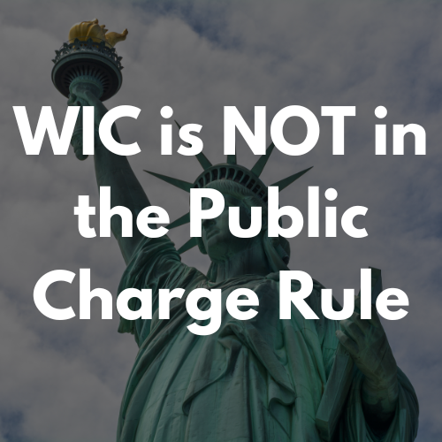 WIC KHÔNG được coi là một phần của gánh nặng công