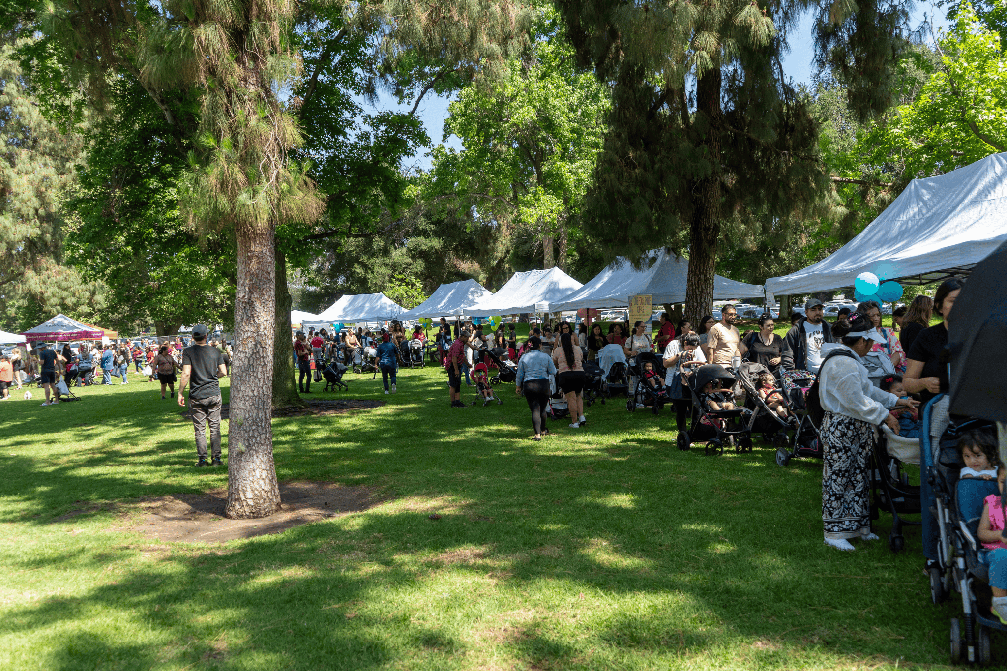 Marcando la diferencia: Feria de recursos familiares de WIC