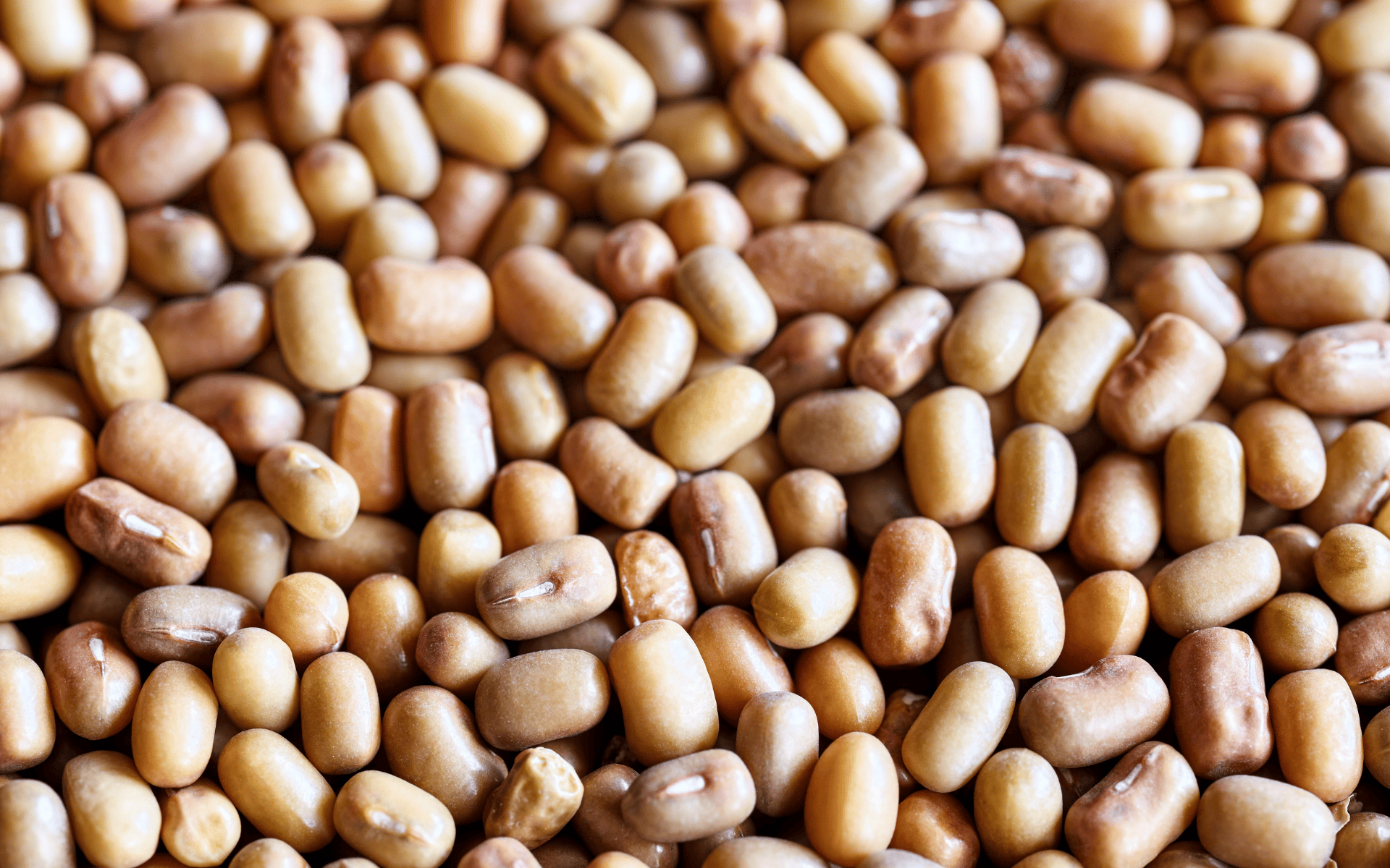 Recall: Deep Sprouted Mat and Moong, Chetak LLC